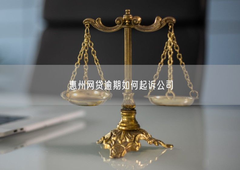 惠州网贷逾期如何起诉公司