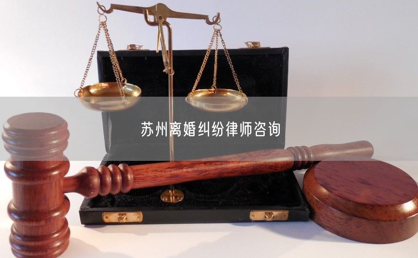 苏州离婚纠纷律师咨询