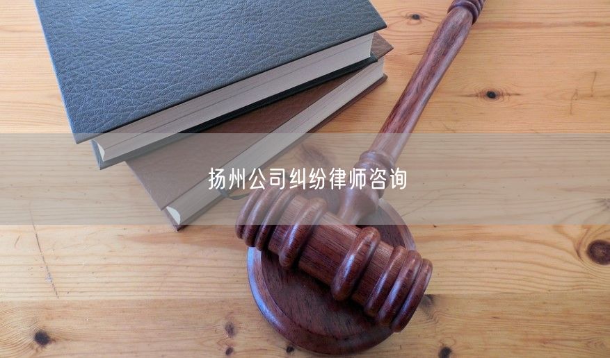 扬州公司纠纷律师咨询