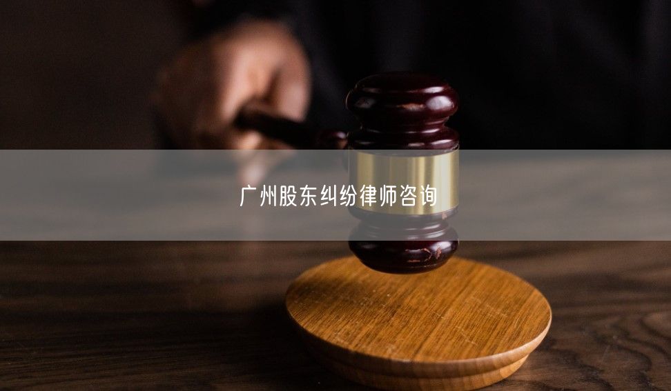 广州股东纠纷律师咨询