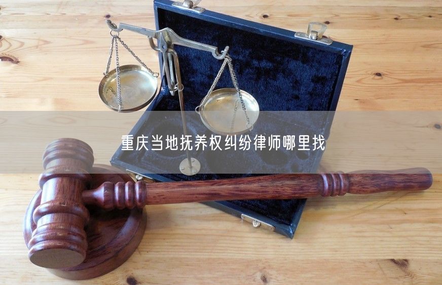 重庆当地抚养权纠纷律师哪里找