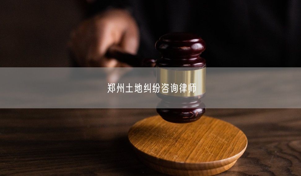郑州土地纠纷咨询律师