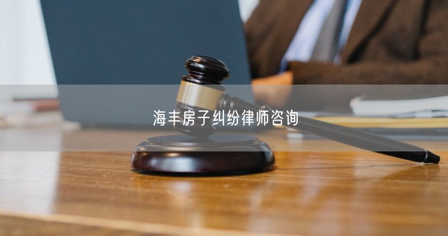 海丰房子纠纷律师咨询