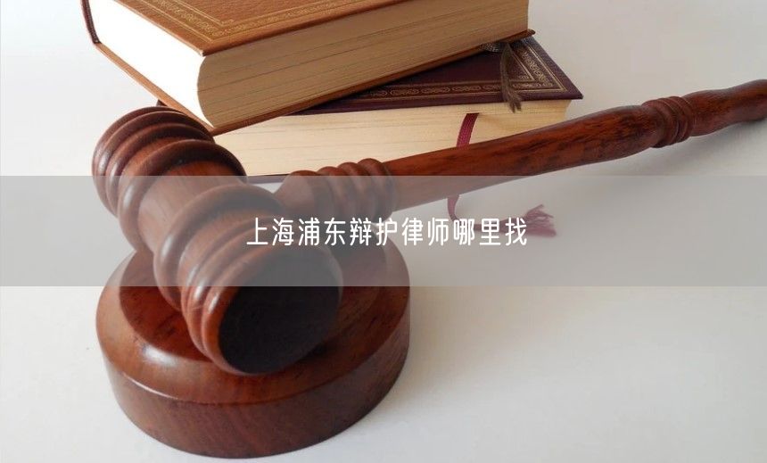 上海浦东辩护律师哪里找